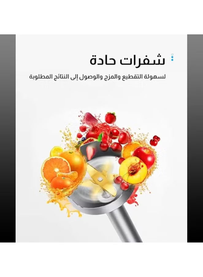 DSP Multifunctional Hand Blender - KM1040