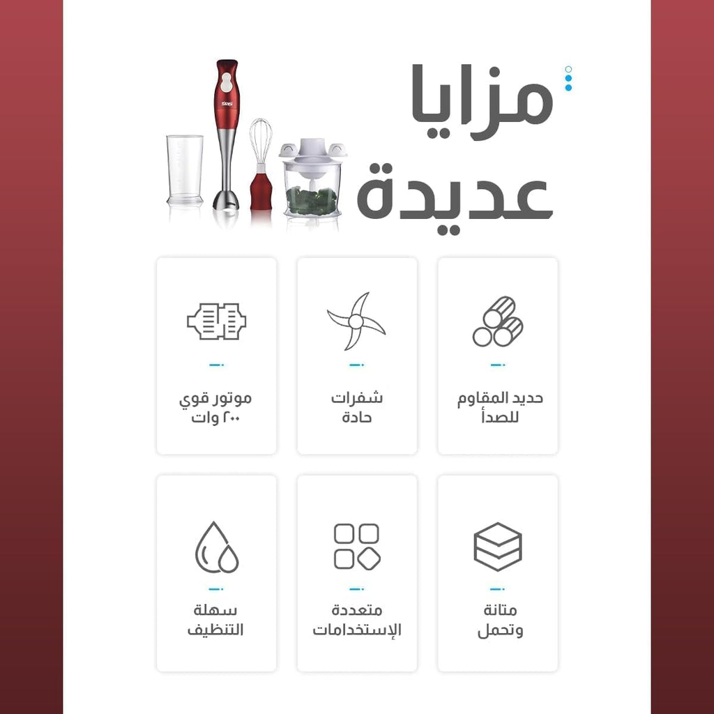DSP 4-in-1 Hand Blender - KM1004