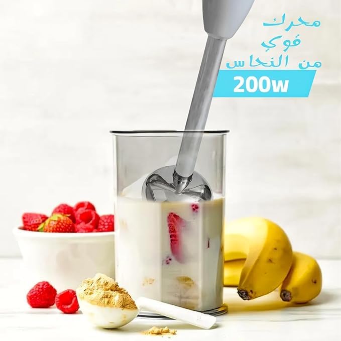 DSP Hand Blender – KM1148
