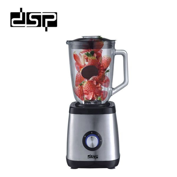 DSP Professional 2-in-1 Blender  – KJ2003