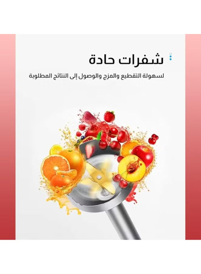 DSP Hand Blender –  KM1117